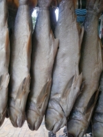 Khô Cá Chét (mặn) loại 1 (700g-1,2Kg/con)